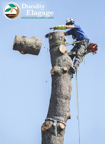 Abattage arbre dangereux dans le Cantal